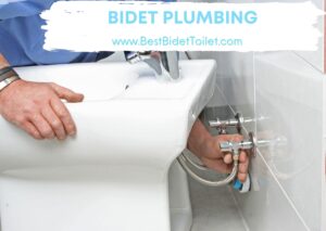 Bidet Plumbing