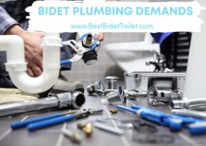 Bidet Plumbing Demands