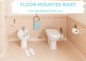 Floor Mounted Bidet Florida