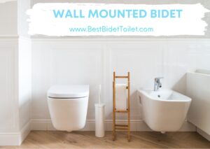 Wall Mounted Bidet Florida