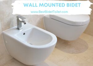 Wall Mounted Bidet Florida